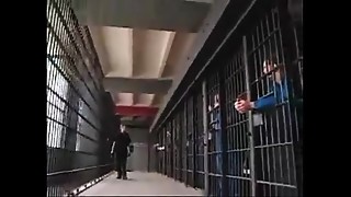 Fucking, Gangbang, Group Sex