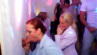 Babe, Blowjob, Extreme, Fucking, Gloryhole, Group Sex, Party, Slut