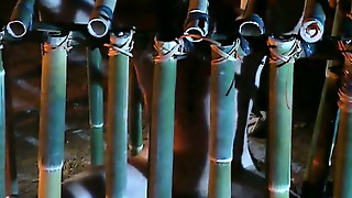 Cumshot, Group Sex, Outdoor, Vintage