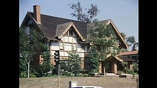 Dress, Nylon, Panties, Pantyhose, Vintage